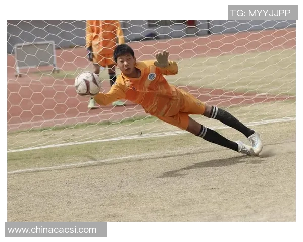 平顶山足球球星的崛起与成就探析及其对地方足球发展的推动作用